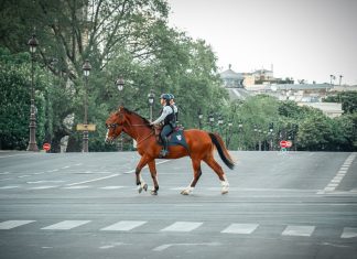 Virtual Offices in 9040 Town Center Parkway: Your Path to Professional Success Virtual Offices in 9040 Town Center Parkway: Your Path to Professional Success